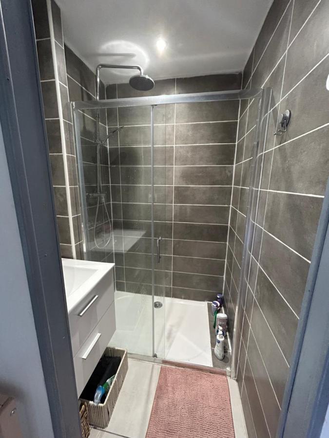 Apartament Chez Leon Et Louise Saint Gaudens Zewnętrze zdjęcie